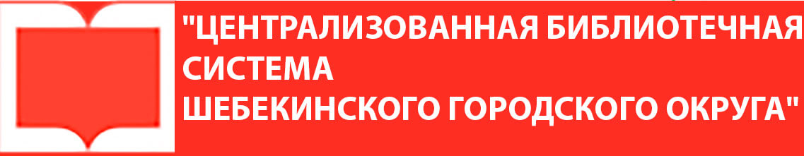 Книга Новогодний Рейс Москва Петербург